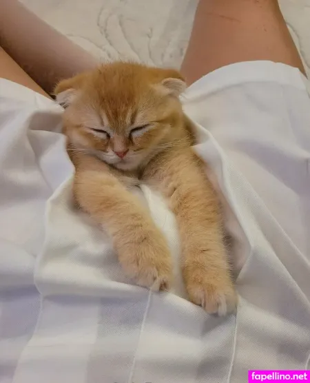 Yogagirlfree OnlyFans Thumbnail #Cp6U40wond