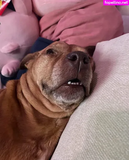 Yogendub OnlyFans Thumbnail #0xUOljeLm6