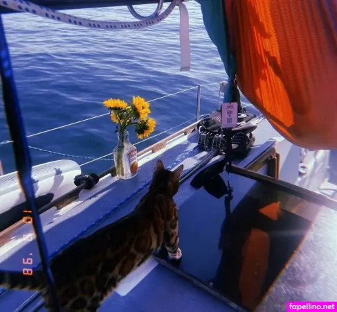 Your Bush Queen OnlyFans Thumbnail #rhZ2CC5gYI