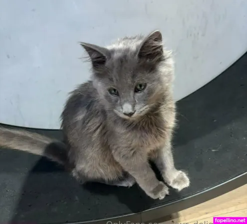 Your Delight2001 1 OnlyFans Thumbnail #ZqKT0LGqVr