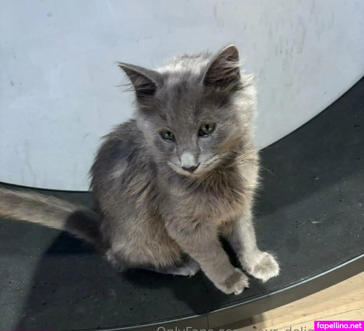 leleisyourgurl, your_delight2001 Nude Leaked OnlyFans Photo #ZqKT0LGqVr