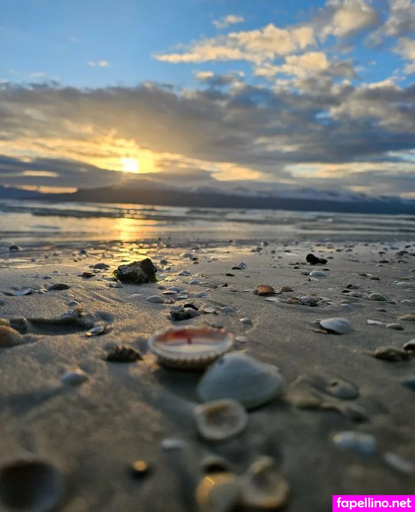 reel, yournew_passion Nude Leaked OnlyFans Photo #A3iT5GZ2cO