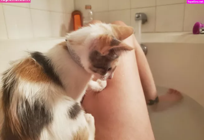 Yureta 2 OnlyFans Thumbnail #JNMTWFAJvw