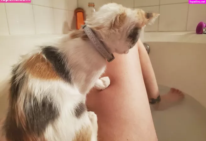 Yureta 2 OnlyFans Thumbnail #M1UemNOdTT