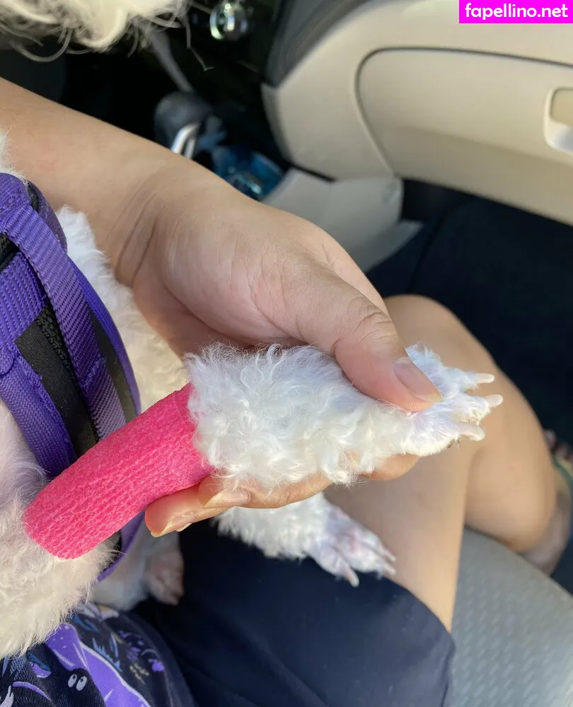 yuumii_z Nude Leaked OnlyFans Photo #tK9efBAJej