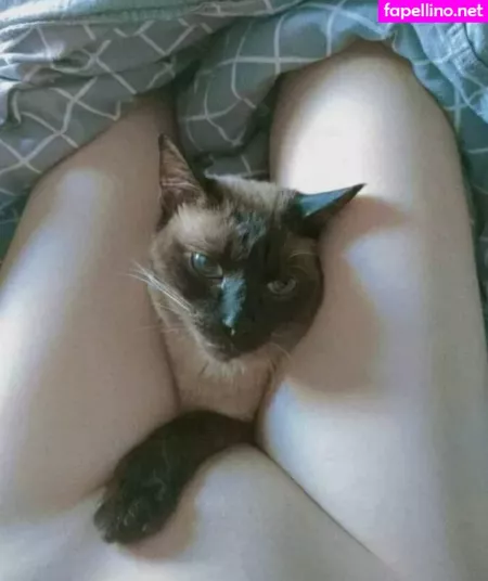 Yuusachii OnlyFans Thumbnail #EOXyf4N7w2