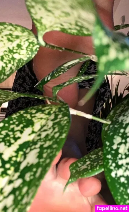 Yvibelly OnlyFans Thumbnail #szxyLuiKVM