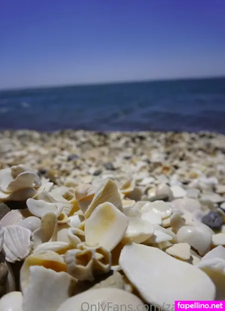 Zackfitone OnlyFans Thumbnail #cx0c5X5Ckd