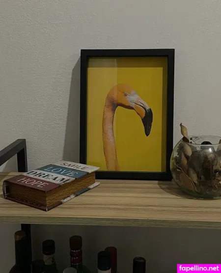 Zamilua OnlyFans Thumbnail #jnH6ML8V3d