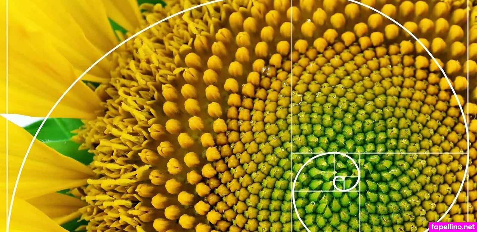 zara.darz, zaradar.tv Nude Leaked OnlyFans Photo #Dt44fw8tHP