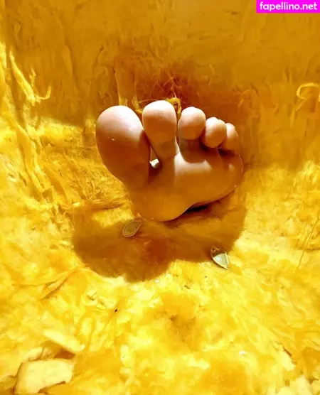 Zeldahyrule OnlyFans Thumbnail #EewQsBo9pX