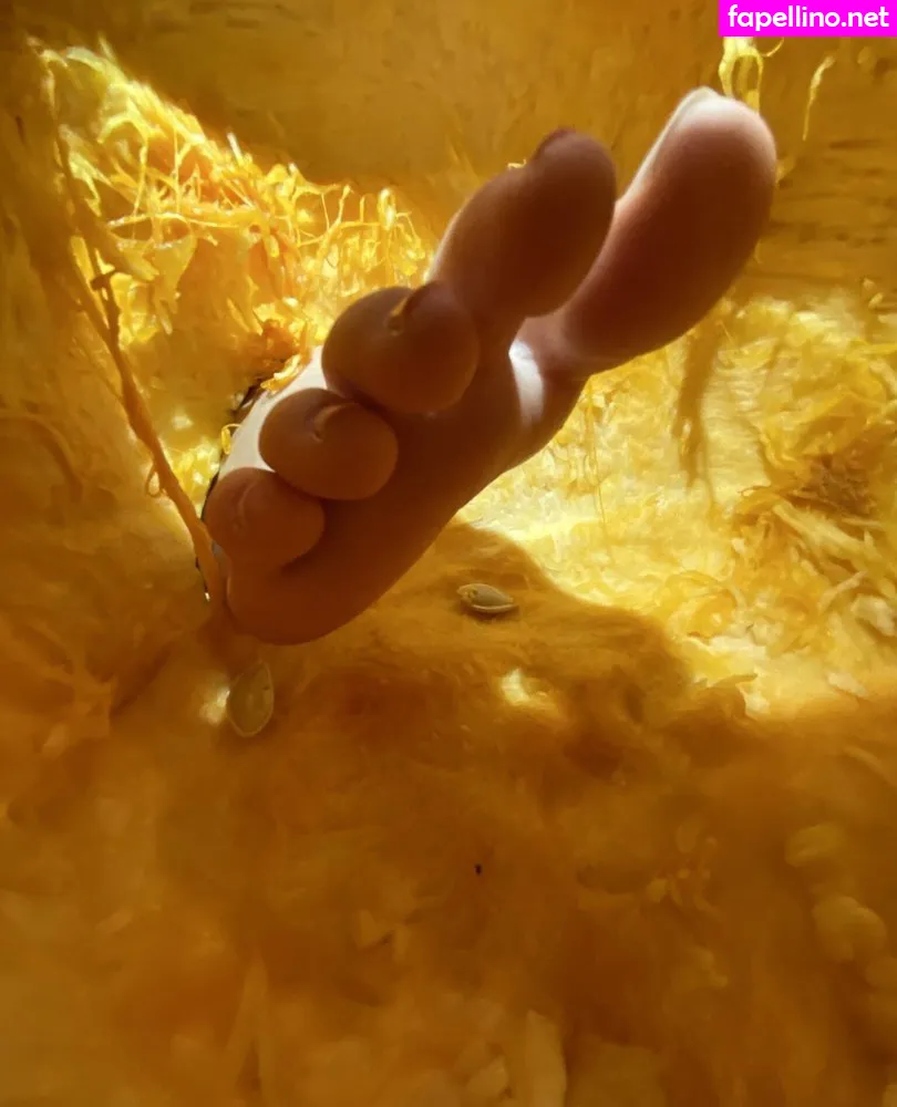 ZeldaHyrule, https:, zeldahyrule3.0 Nude Leaked OnlyFans Photo #Y2w1pHllje