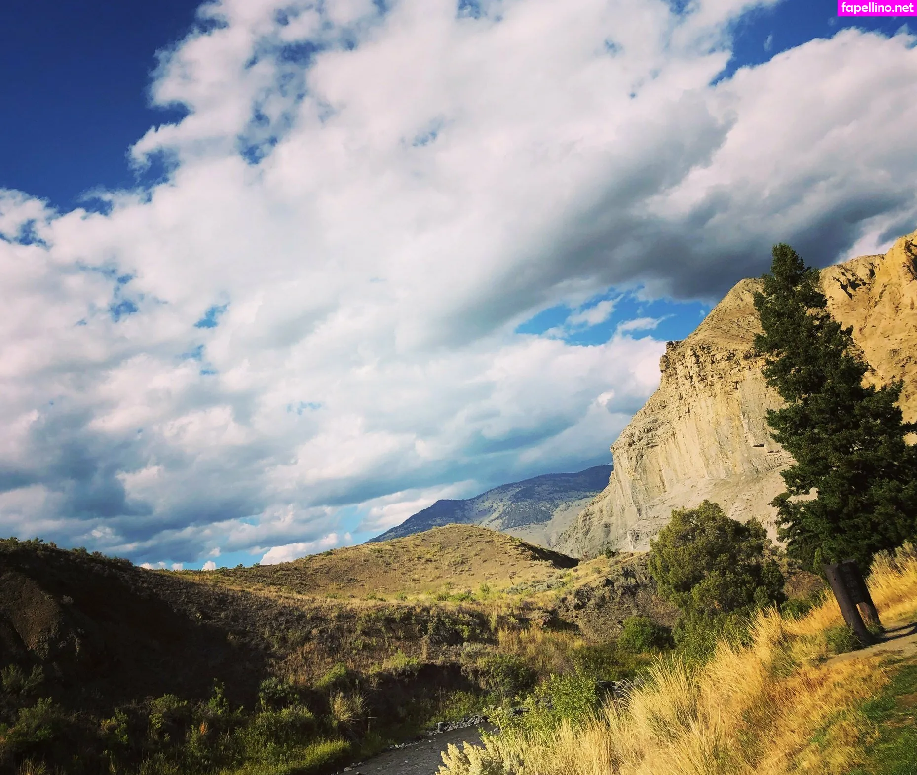 jenjen69, zendenjen69 Nude Leaked OnlyFans Photo #DCUAG1xkG8