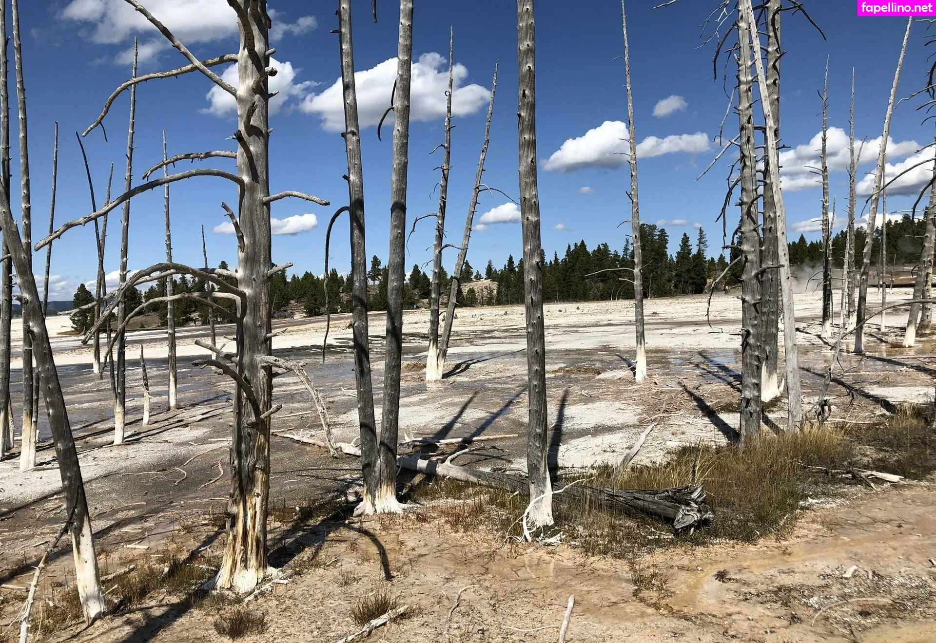 jenjen69, zendenjen69 Nude Leaked OnlyFans Photo #kndH17lArf