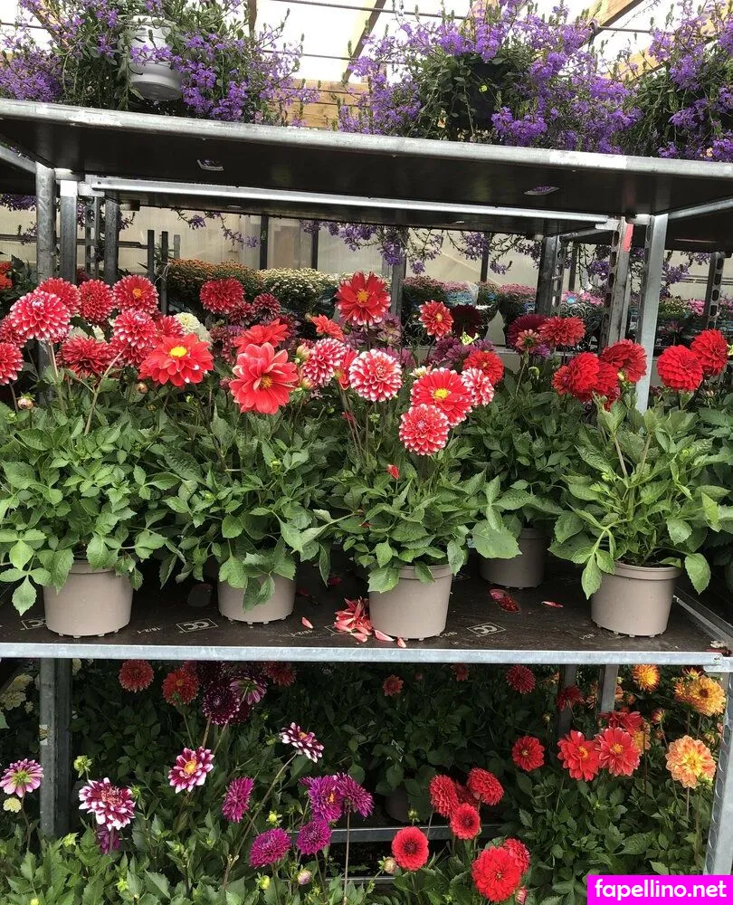 zeventine Nude Leaked OnlyFans Photo #YVNa3FS7L8