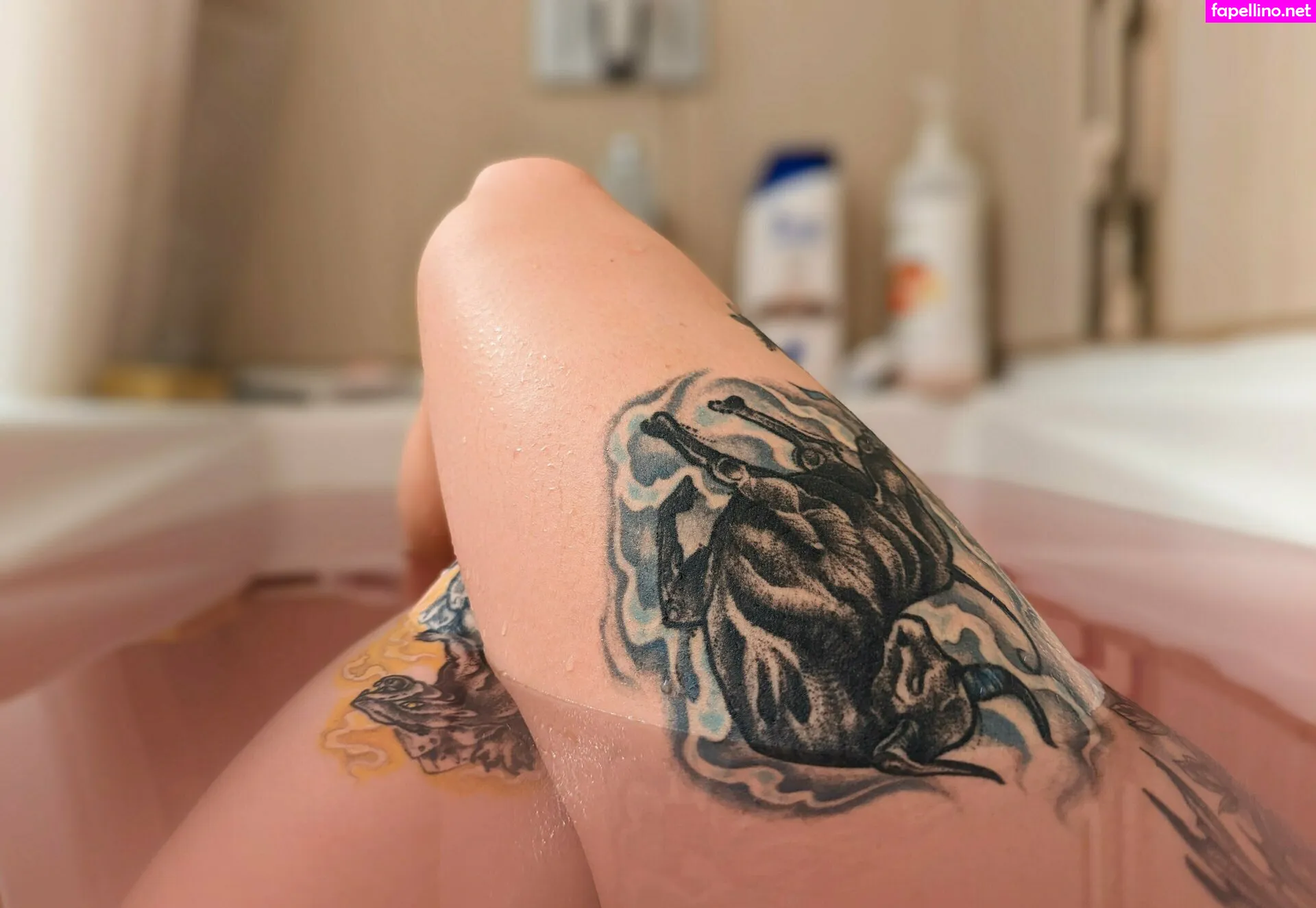 spider.coug, zoadgo Nude Leaked OnlyFans Photo #WCtvuqQUmk