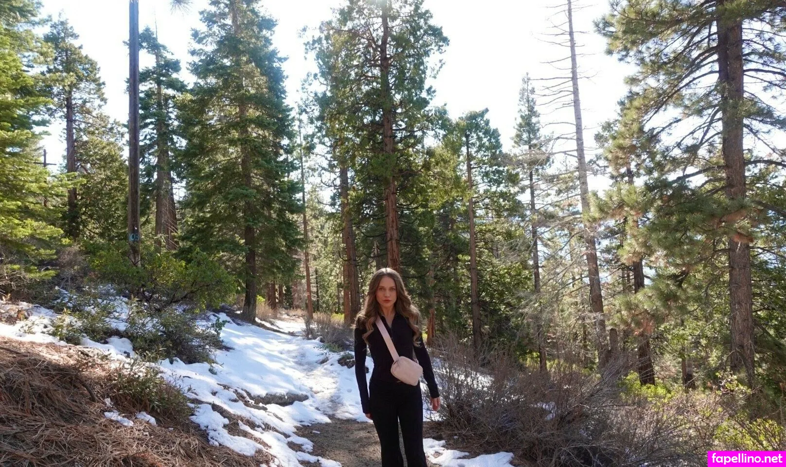 zoeysasiren Nude Leaked OnlyFans Photo #8UcNsrizVB