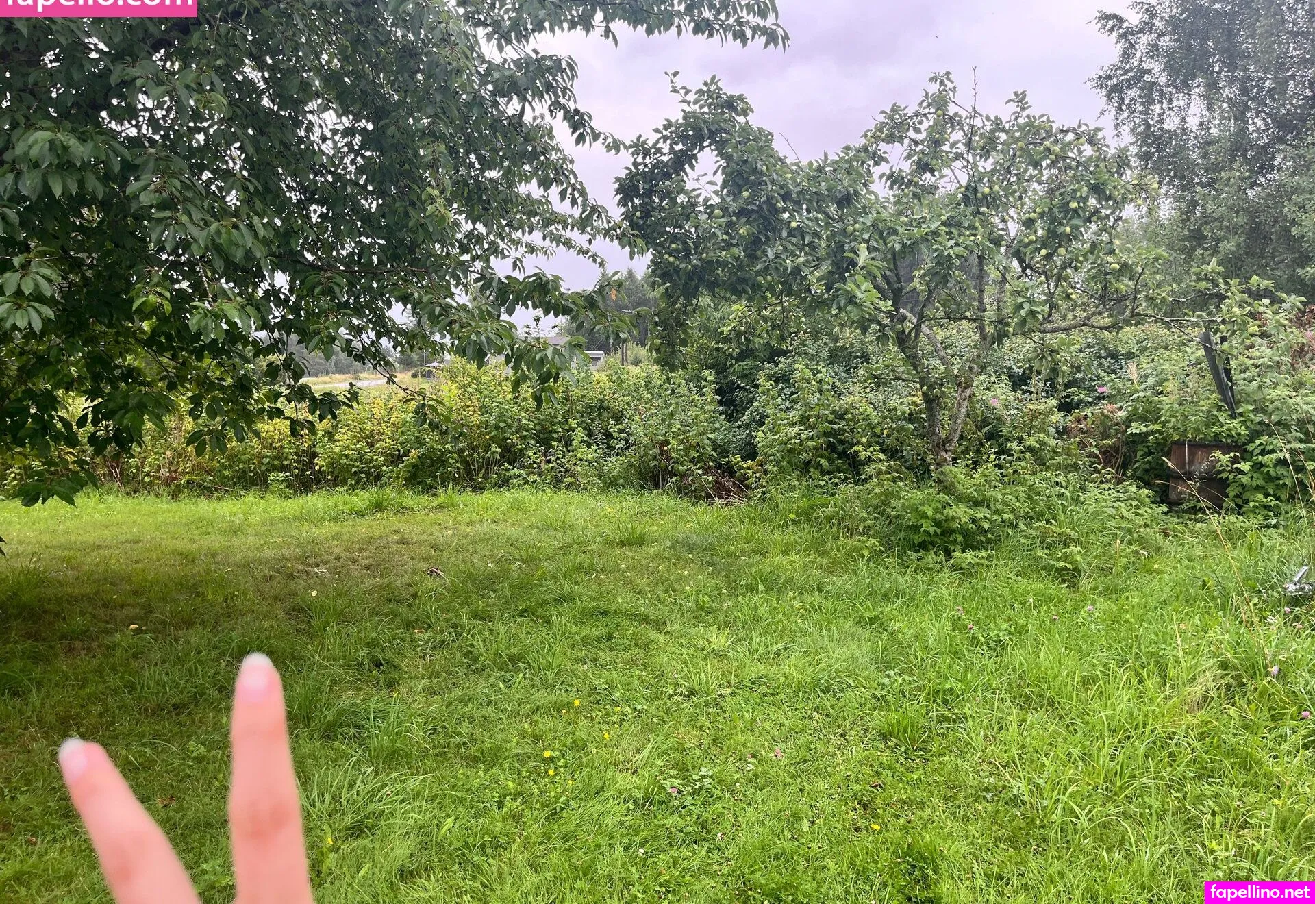 zumzumtm Nude Leaked OnlyFans Photo #eRYkwfDbOR